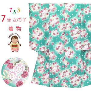 ܎O  7 2025NV ̎q ÓT̎q 䕿()  @ٕt @u~gnAdvOYM-A805 w ̔