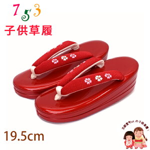 q ܎O ̎q Gi Oc KF17.5cm-18.5cmuԁAԁvGZO195-519