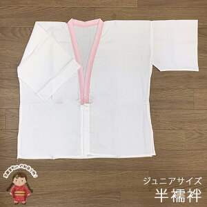 yAEgbgiz @ @ WjA 10Ηp ̎q q a Ci[usNvTH2544-Jr