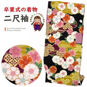 ڑ V[g  їp Ǝ Pi Ђ uh   t[TCY @un ÓTvHKM-1