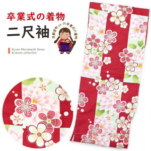 ڑ V[g  їp Ǝ Pi HEL uh   t[TCY @u ~vHLN1703