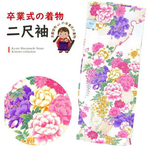 ڑ U Pi Ǝ X   t[TCY @un ւɉOvTSN955