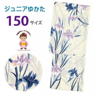 ジュニア浴衣 レトロ 古典柄 女の子 150cm 大人っぽい粋な柄の子供浴衣「生成り、菖蒲」HJY-15-05