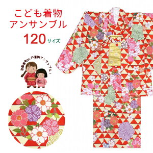 qATu ̎qp AՂ蓙 HD  4_Zbg 120TCYu ؁vIER01-120