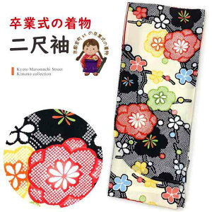 Ǝ̒ 䕿 ڑ Pi V[g̒ їp t[TCYunAi~vT2K-2060