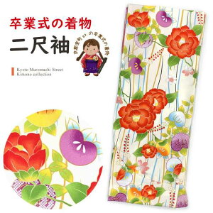 Ǝ̒ 䕿 ڑ Pi V[g̒ їp t[TCYunAւƋkvT2K-2061