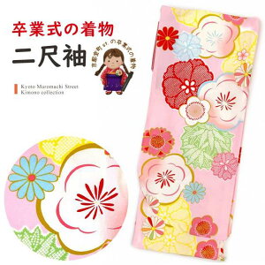 Ǝ̒ 䕿 ڑ Pi V[g̒ їp t[TCYusNA~vT2K-2070