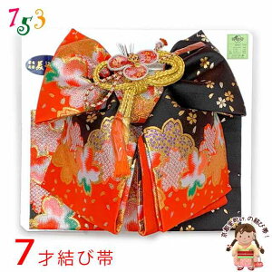 ܎O ё 7 ̎q En  Pi {uԁAvYMO10314