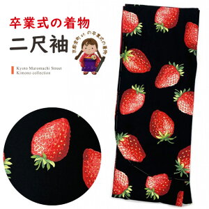 Ǝ̒ 䕿 ڑ Pi V[g̒ їp t[TCYunA䕁vT2K-2179