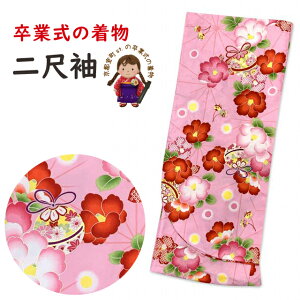 ڑ U Pi Ǝ X  p  t[TCY @usNAƒցvDNS709 w ̔