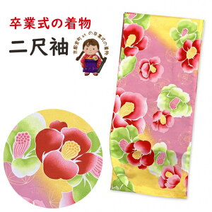 Ǝ̒ 䕿 ڑ Pi V[g̒ їp t[TCYuxsNAցvTKNS494 w ̔