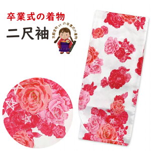 Ǝ̒ 䕿 ڑ Pi V[g̒ їp t[TCYunAԃovTKNS496 w ̔