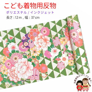  qp 12m  ؂₩ȌÓT { |GXe d ܎O WjAɁuΌnAOɋeE؁vKG-032-GRN