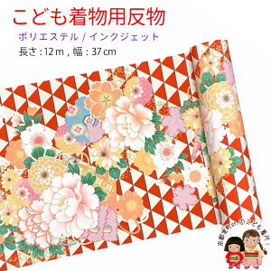  qp 12m  ؂₩ȌÓT { |GXe d ܎O WjAɁuԌnAOɋeE؁vKG-032-RED