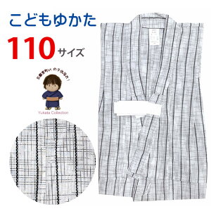 q j̎q 110TCY@5-6Ηp ςDuDnvTBY11-507