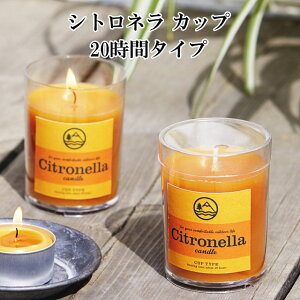 Vgl eB[Cg Lh Jbv 20ԃ^Cv BA869-05-00 Lv pi  VR A} O 낤 XC E\N 