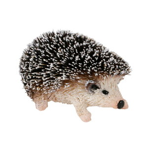 AWA GXjbN G u IuWF 킵Aj} nlY~  ~bNX M81-1491S 킢  CeA  