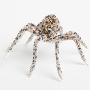 AWA GXjbN G u IuWF 킵Aj} ^R M81-1933 킢  CeA  