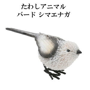 ���킵 �A�j�}�� �o�[�h �V�}�G�i�K M81-2603 �� �g�� �u�� �I�u�W�F ������� ���킢�� ������ ���� ���V �L�b�`�� �G�X�j�b�N �G�� �C���e���A �������񂩂�