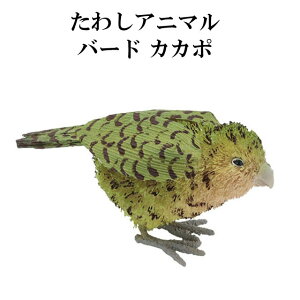 ���킵 �A�j�}�� �o�[�h �J�J�| M81-2602 �� �g�� �u�� �I�u�W�F ������� ���킢�� ������ ���� ���V �L�b�`�� �G�X�j�b�N �G�� �C���e���A �������񂩂�