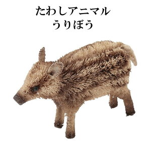 킵 Aj} ڂ M81-2600  CmVV ̂ u IuWF  킢   V Lb` GXjbN G CeA 񂩂