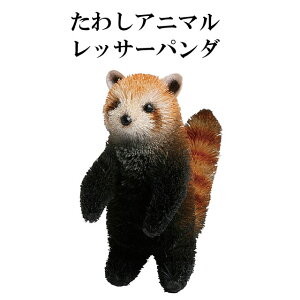 킵 Aj} bT[p_ M81-2597 p_ F N}  u IuWF  킢   V Lb` GXjbN G CeA 񂩂