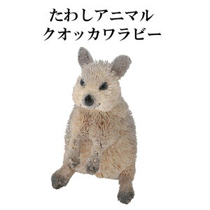 ���킵 �A�j�}�� �N�I�b�J�����r�[ M81-2601 �u�� �I�u�W�F ������� ���킢�� ������ ���� ���V �L�b�`�� �G�X�j�b�N �G�� �C���e���A �������񂩂�