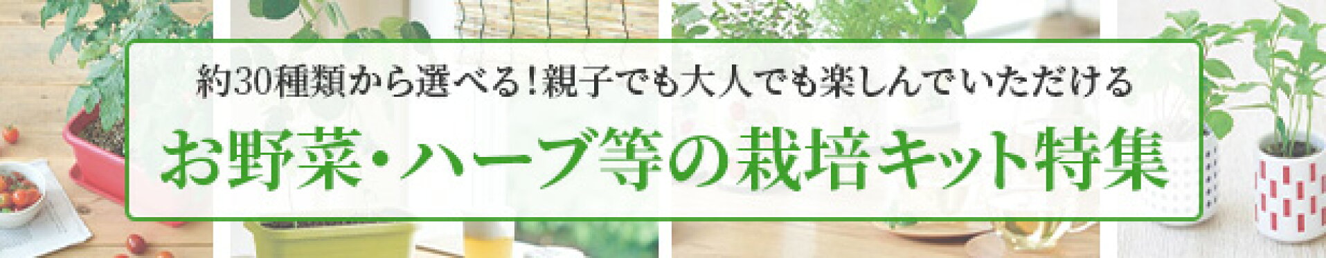 お野菜・ハーブ等の栽培キット特集