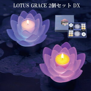 LOTUS GRACE DX i fbNX j ̑蕨 LED Lh [^X OCX [\N dr  Mtg d Jbv ~ ފ  USB   v[g yKTXLh