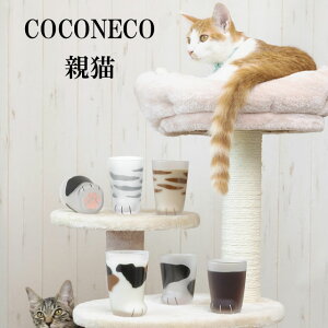 COCONECO eL LOX qL Rbv OX Tog ~P g u` { Yi AfA ^u[ H fU[gJbv  킢 Ȃ  ƒp ACXJbv a
