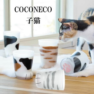 COCONECO qL LOX eL Rbv OX Tog ~P g u` { Yi AfA ^u[ H fU[gJbv  킢 Ȃ  ƒp ACXJbv a