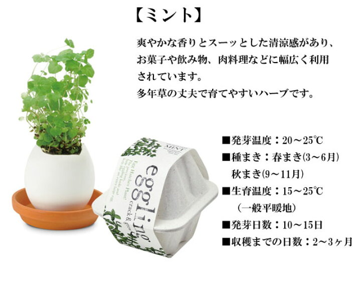 楽天市場 栽培キット ハーブ バジル ミント 野菜 イタリアンパセリ カクタス ワイルドストロベリー ラベンダー サボテン 観葉植物 花 グリーン 植物 インテリア おしゃれ フラワー 栽培 お花 苗 種 室内 かわいい 栽培セット 家庭菜園 ギフト プレゼント 小さい Eggling 楽天市場 栽培キット ハーブ バジル ミント 野菜 イタリアンパセリ カクタス ワイルドストロベリー ラベンダー サボテン 観葉植物 花 グリーン 植物 インテリア おしゃれ フラワー 栽培 お花 苗 種 室内 かわいい 栽培セット 家庭菜園 ギフト プレゼント 小さい Eggling