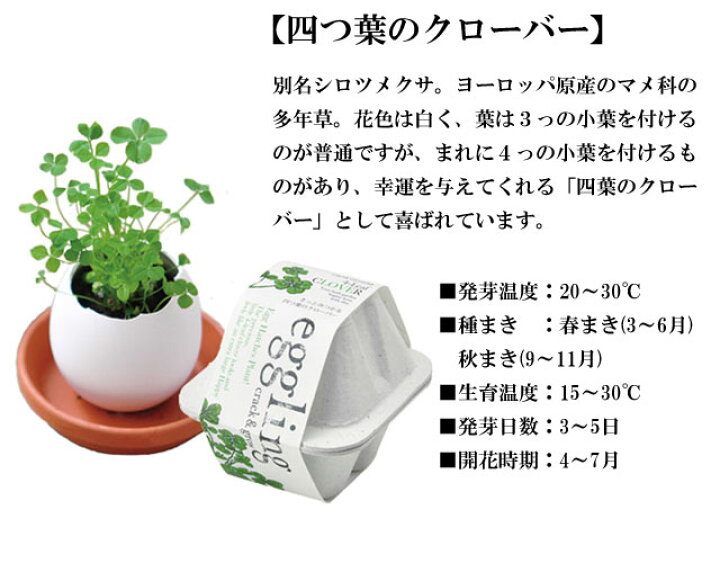 楽天市場 栽培セット Eggling Eco Friendly エッグリング エコフレンドリー 四つ葉のクローバー 即納 栽培キット 植物 グリーン 四つ葉 クローバー タマゴ たまご 卵 玉子 インテリア 置物 グッズ 癒しグッズ専門店 なごみ 楽天市場 栽培セット Eggling Eco Friendly エッグリング エコフレンドリー 四つ葉のクローバー 即納 栽培キット 植物 グリーン 四つ葉 クローバー タマゴ たまご 卵 玉子 インテリア 置物 グッズ 癒しグッズ専門店 なごみ