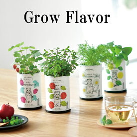 栽培キット Grow Flavor 育てるフレーバー 栽培セット アップルミント レモンバーム ワイルドストロベリー カモミール 植物 グリーン ハーブ インテリア かわいい オシャレ 置物 グッズ