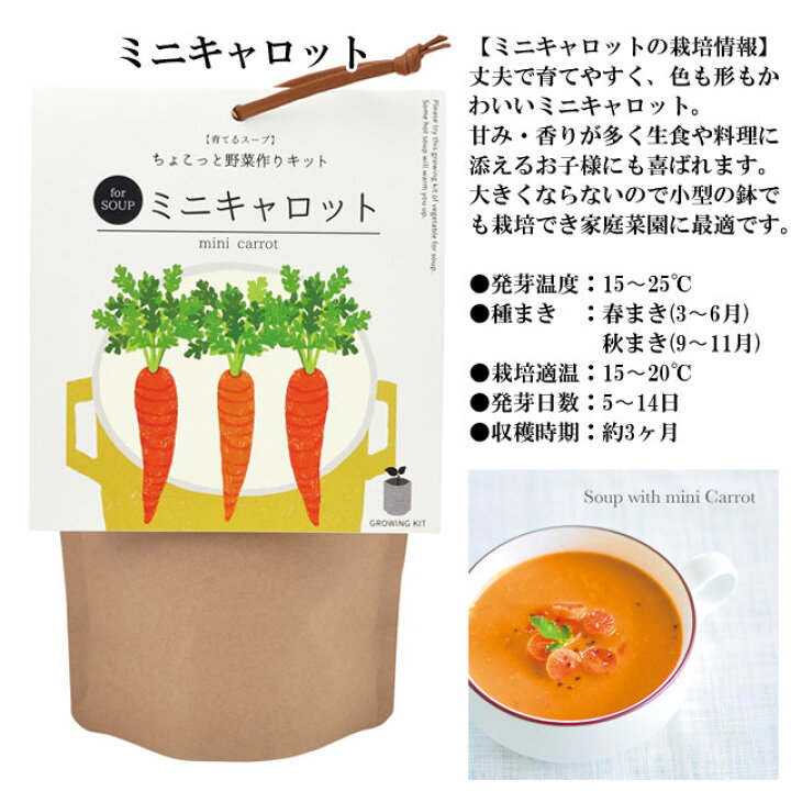 126円 現品限り一斉値下げ! 栽培クラブ ハーブ パクチー コリアンダー 栽培セット ミニタイプ 126円 現品限り一斉値下げ! 栽培クラブ ハーブ パクチー コリアンダー 栽培セット ミニタイプ