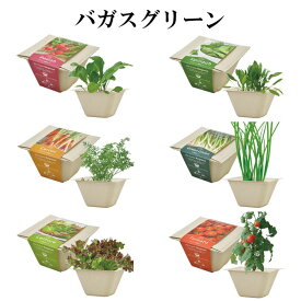 栽培セット BAGASSE GREEN バガスグリーン 栽培キット 植物 動物 グリーン ハーブ 野菜 ラディッシュ ミニキャロット レタス サラダホウレンソウ ネギ ミニトマト かわいい おしゃれ インテリア 置物 グッズ