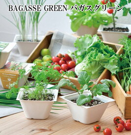 栽培セット BAGASSE GREEN バガスグリーン 栽培キット 植物 動物 グリーン ハーブ 野菜 ラディッシュ ミニキャロット レタス ネギ ミニトマト かわいい おしゃれ インテリア 置物 グッズ