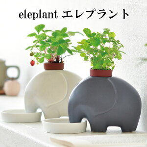 ͔|Zbg eleplant Gvg ͔|Lbg A  O[ n[u  Abv~g ChXgx[  ]E  킢  CeA u ObY  O[ z