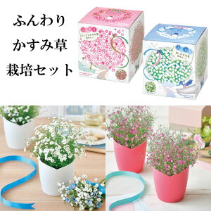 ӂ肩ݑ͔|Zbg ݑ ͔|Lbg ͔|  A Zbg Lbg 킢 v[g O[ CeA u ObY