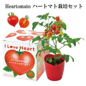 『栽培セット』 Heartomato ハートマト栽培セット 【即納】 栽培キット トマト ハート 野菜 インテリア 置物 グッズ