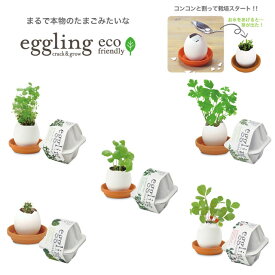 栽培キット ハーブ バジル ミント 野菜 イタリアンパセリ カクタス ワイルドストロベリー ラベンダー サボテン 観葉植物 花 グリーン 植物 インテリア おしゃれ フラワー 栽培 お花 苗 種 室内 かわいい 栽培セット 家庭菜園 ギフト プレゼント 小さい eggling eco friendly