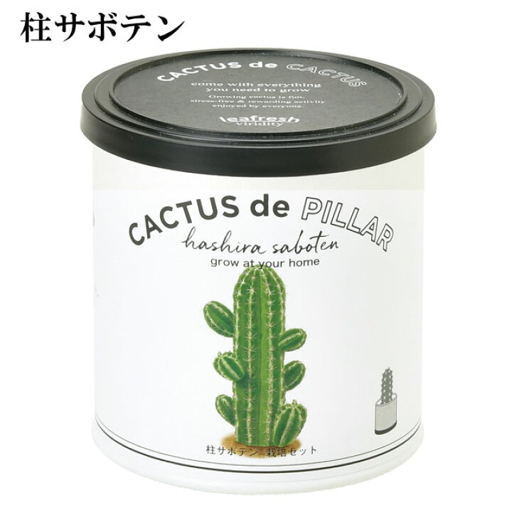 楽天市場 栽培キット カクタス De カクタス 丸サボテン 柱サボテン ウチワサボテン 即納 栽培セット 種 サボテン さぼてん かわいい おしゃれ ギフト グリーン インテリア 置物 グッズ 癒しグッズ専門店 なごみ
