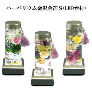 n[oES(LEDt) y[z ԍ IC r  A Mtg CeA {gvc vU[uht[ hCt[