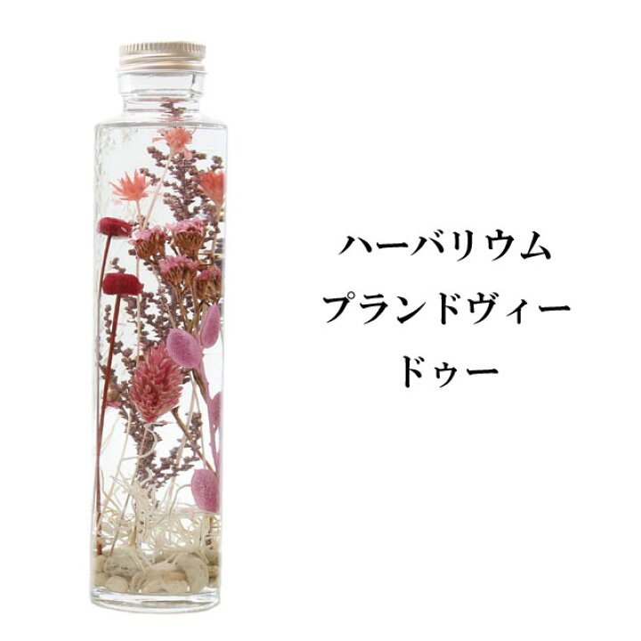 楽天市場 ハーバリウム プランドヴィー 即納 花材 オイル 瓶 花 植物 ギフト インテリア ボトルプランツ プリザーブドフラワー ドライフラワー 癒しグッズ専門店 なごみ