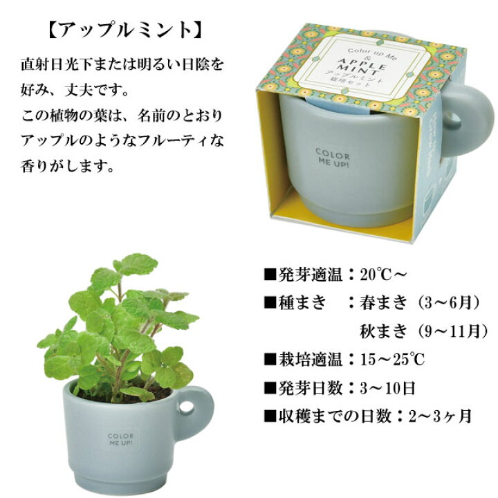 楽天市場 栽培キット Color Me Up Mug カラーミーアップマグ 即納 栽培セット アップルミント レモンバーム ワイルドストロベリー カモミール 植物 グリーン ハーブ インテリア かわいい オシャレ 置物 グッズ 癒しグッズ専門店 なごみ