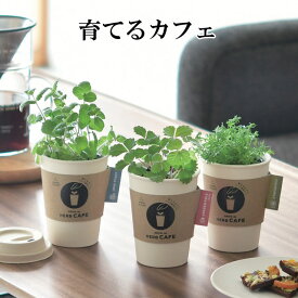 栽培キット 育てるカフェ 栽培セット 植物 グリーン ハーブ 野菜 アップルミント ワイルドストロベリー カモミール かわいい おしゃれ ギフト グリーン インテリア 置物 グッズ