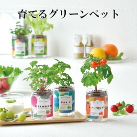 栽培キット 育てるグリーンペット 栽培セット 植物 グリーン ハーブ 野菜 ミント バジル ワイルドストロベリー レタス ミニトマト 室内 プチギフト かわいい おしゃれ ギフト グリーン インテリア 置物 グッズ