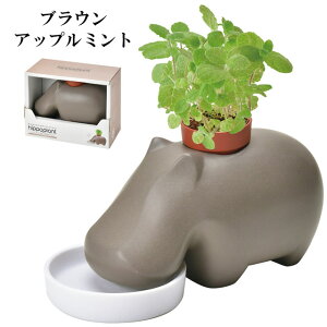 ͔|Zbg hippopplant q|| vg ͔|Lbg A  O[ n[u  Abv~g oW Jo  킢  CeA u ObY 