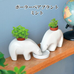 ͔|Lbg polar bearplant |[[xAvg ~g n[u 킢 ͔|Zbg n[u oW  v[g Abv~g  ƒ؉ ϗtA  O[ ACeA 