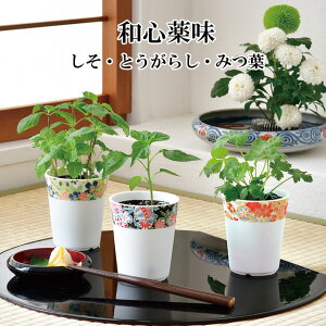 ͔|Zbg aS  Ƃ炵 Ot ͔|Lbg   V\ ~co gEKV hq 킢  Mtg O[ CeA u ObY